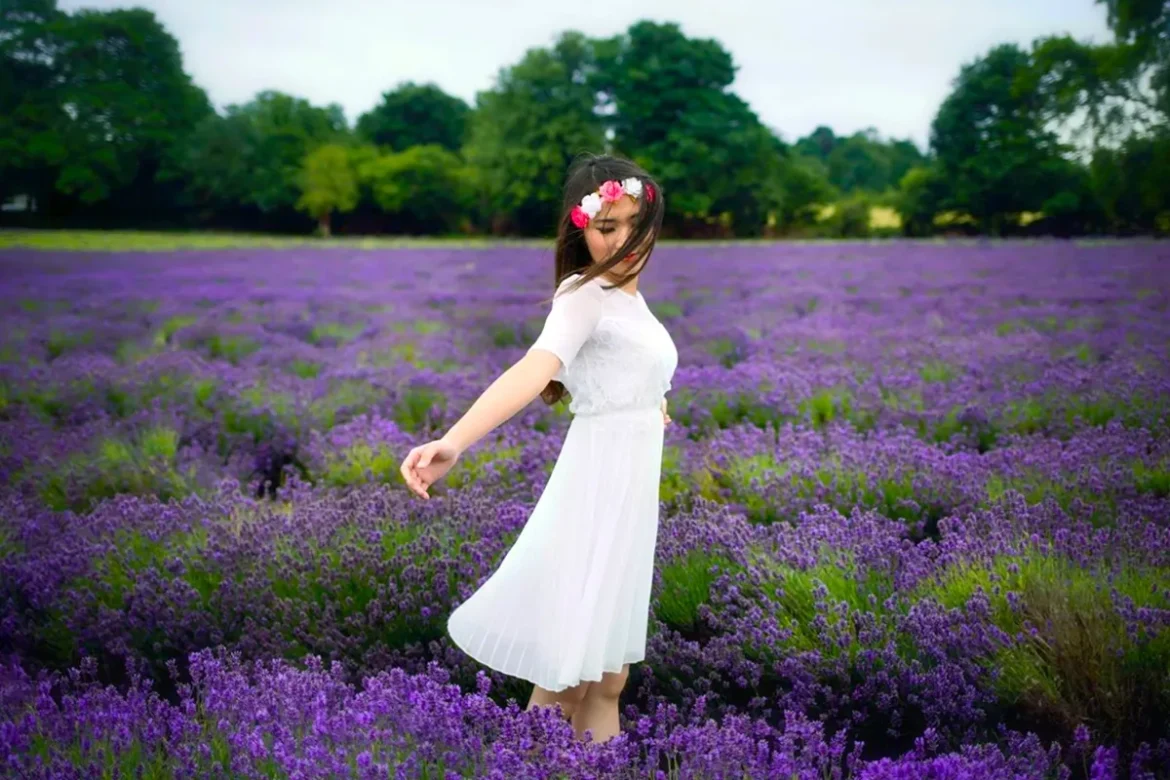 Tết này, check-in cánh đồng Hoa Oải Hương lớn nhất Đà Lạt